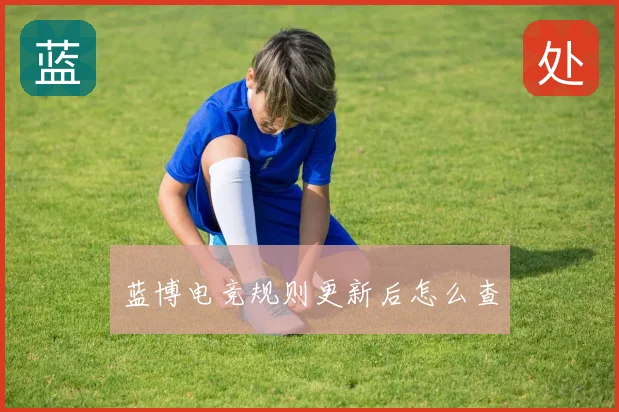 蓝博电竞规则更新后怎么查